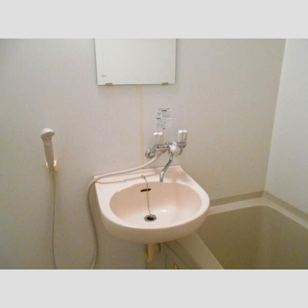 ハイツセイホⅢ202号室 洗面台