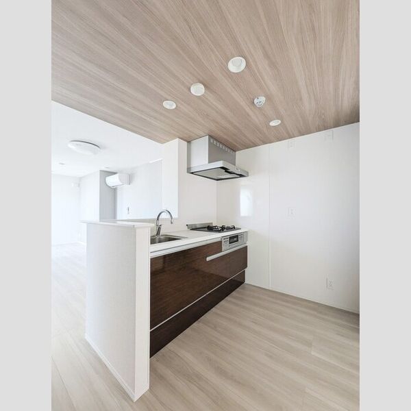 セレスティア六町Ⅱ203号室 キッチン