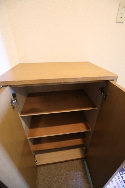 ロイヤルパレス高円寺 靴入