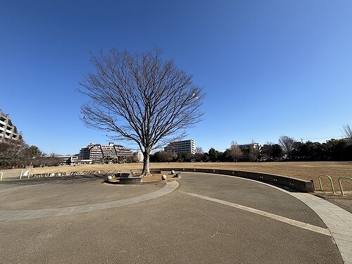レクセル荻窪5階 公園
