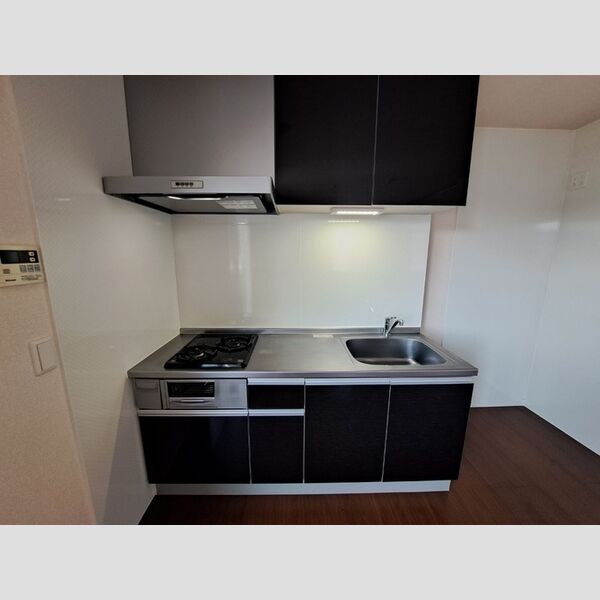 大黒屋ハイツ 三番館301号室 システムキッチン