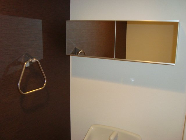 Ａｒｕｍｅ本蓮沼　-アルメモトハスヌマ-305号室 トイレ収納