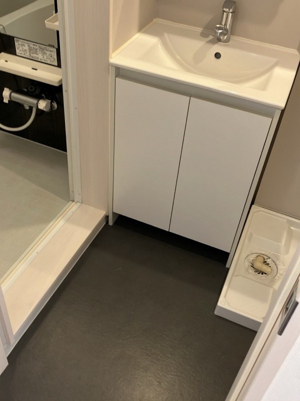 レイズ大久保2階 洗面