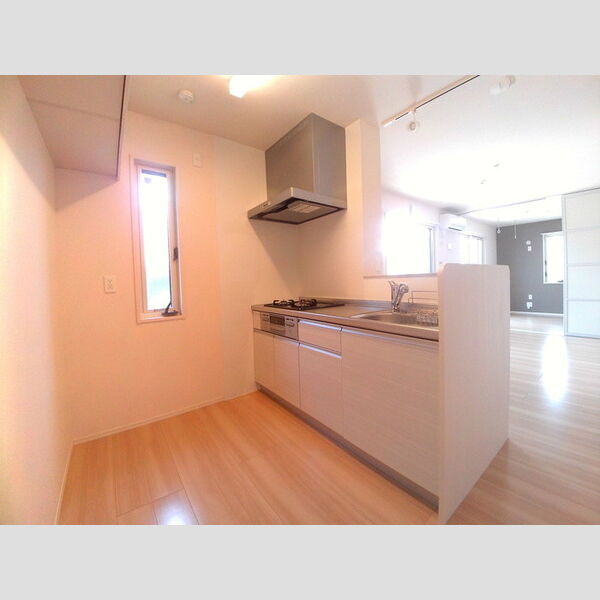 エクセル川端F202号室 対面キッチン