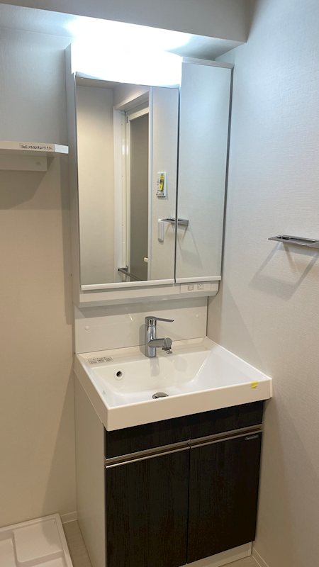 GENOVIA文京千駄木0801号室 洗面