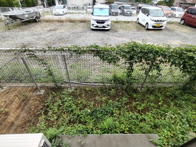 サニーヒルガイア 庭