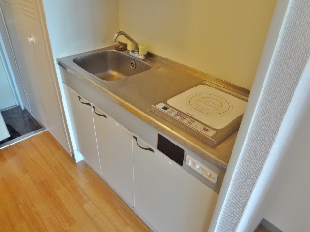日神パレステージ武蔵関公園 キッチン