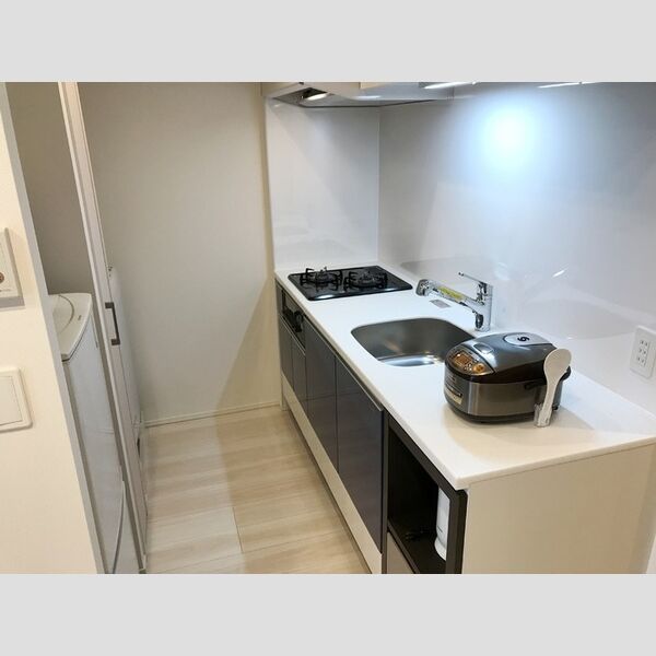 ロイジェントパークス四ツ谷1301号室 キッチン