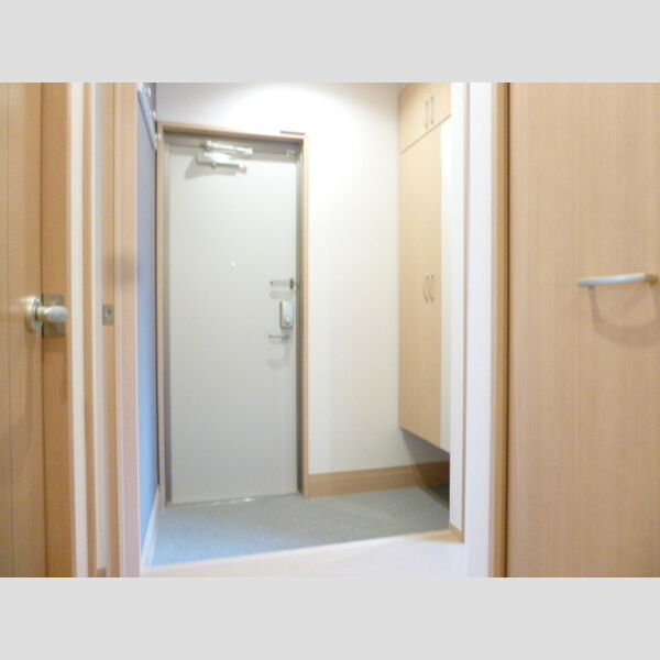 AlbaGrande(アルバグランデ)106号室 玄関