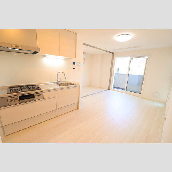 D Paina 宿河原7205号室 システムキッチン