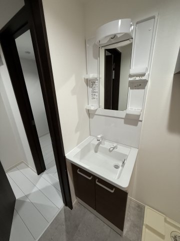 アクアリーヴ東海岸102号室 洗面