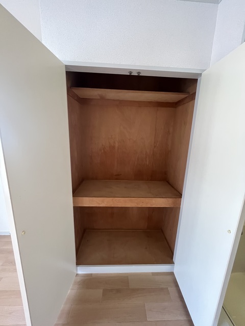 パインコート0302号室 収納