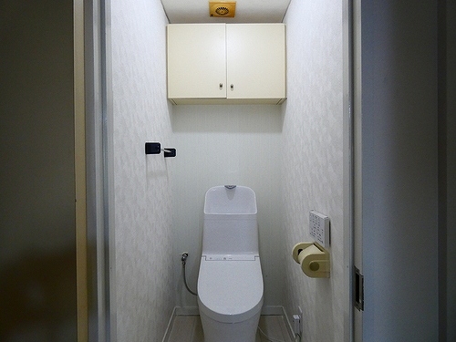 パールハイツＫＭ トイレ（内装後）