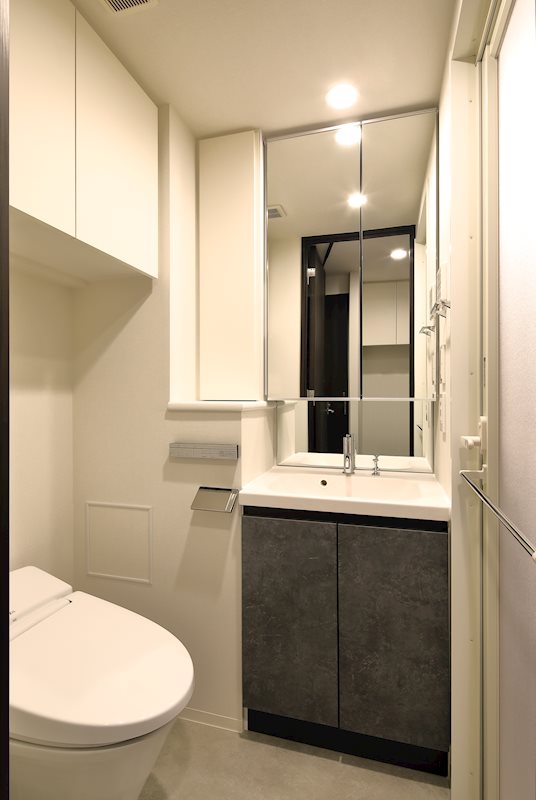 レジディア門前仲町プレイス9階 洗面