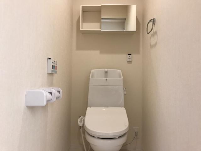 ｇｒｅｅｎ ｍａｉｓｏｎ(グリーンメゾン)105号室 シャワー付トイレ