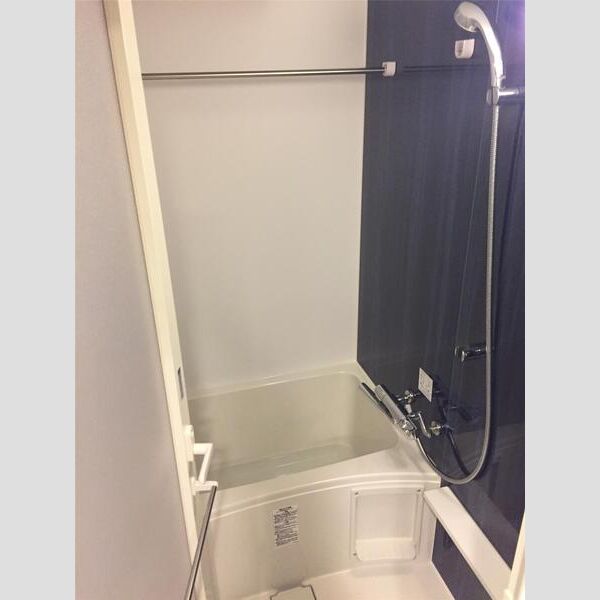 S-RESIDENCE池袋Norte602号室 洗面