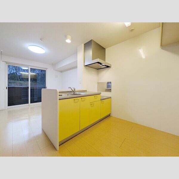 スプリングフォレスト　B206号室 キッチン