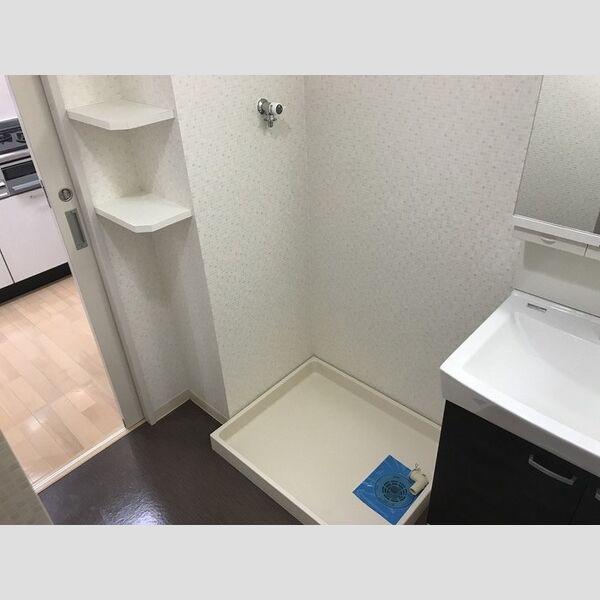 アビティ砧211号室 洗濯機置場