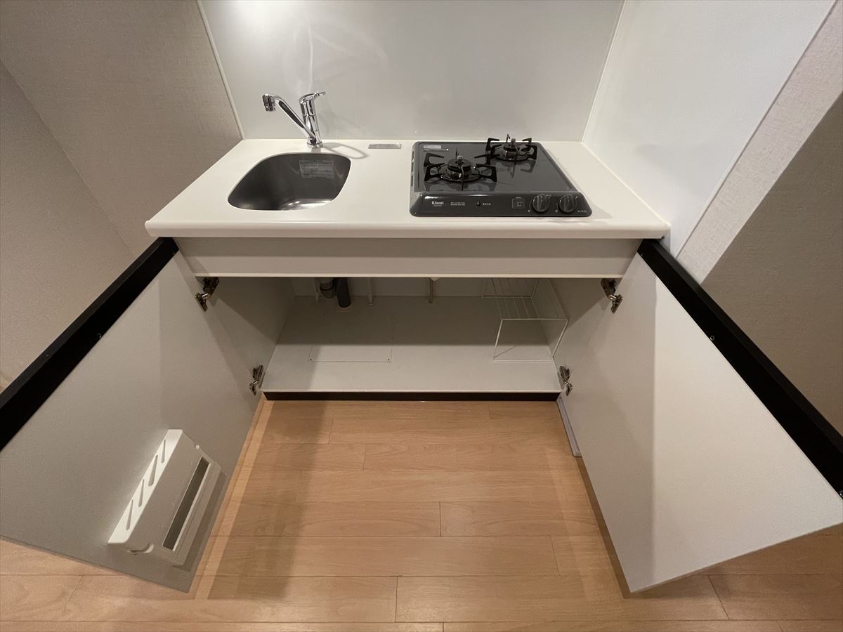 DIPS大山東町801号室 キッチン