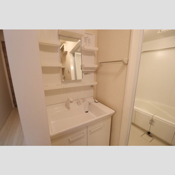 リオハイト202号室 洗面
