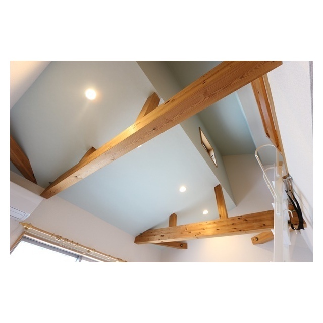 エアル湘南206号室 天井　リノッタカラーズ