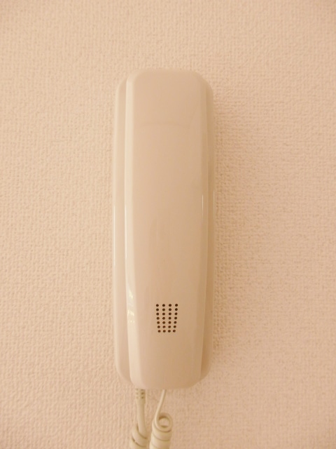 ルミエール吉祥寺0203号室 セキュリティ