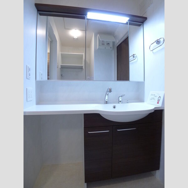 Droom SAKURA.K305号室 洗面所