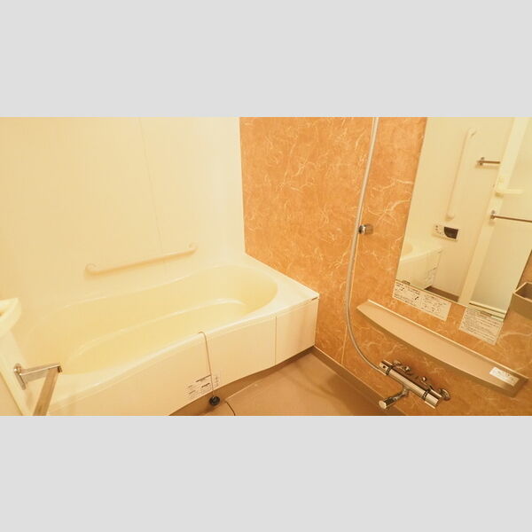 ロイヤルパークス豊洲 バスルーム