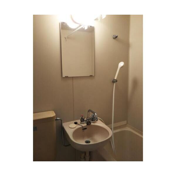 エステートピアえるむ201号室 洗面