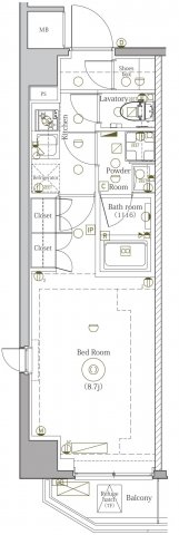 DIPS野方501号室 間取