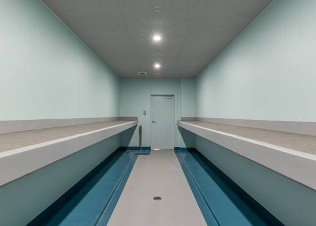 グランド・ガーラ東大島9階 その他共有部分