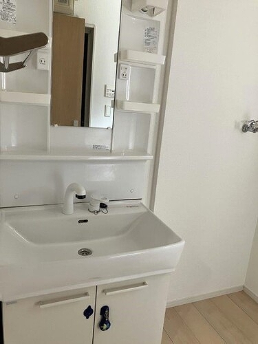 ふじみ野市大原１丁目戸建て 洗面所　内装前