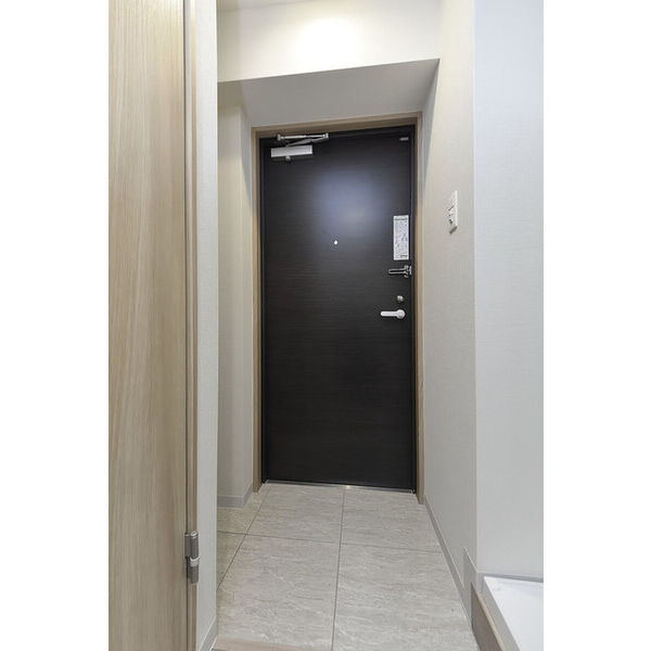 クリオ　ラモード学芸大学Ⅱ0403号室 玄関