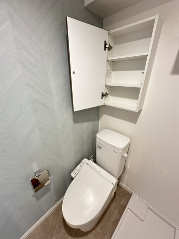 T&F KANNAI BLDG701号室 トイレ