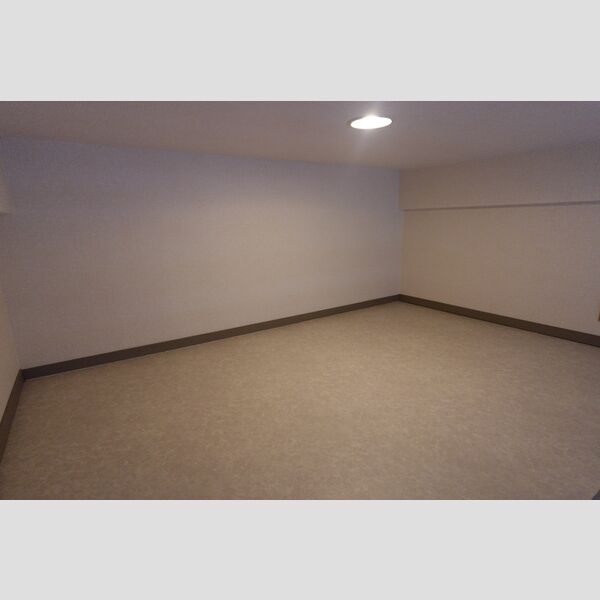 メゾンシャレー106号室 小屋裏収納