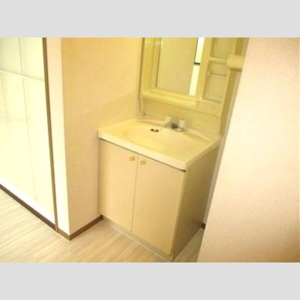 パークアベニュー　A101号室 洗面化粧台