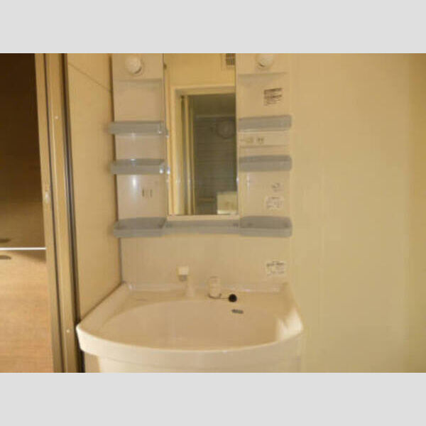 アイリーライフ102号室 アイリーライフ102 洗髪洗面化粧台