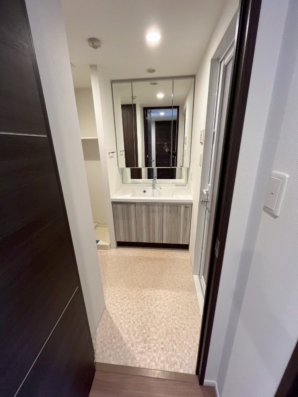 ジェノヴィア墨田八広スカイガーデン3階 洗面