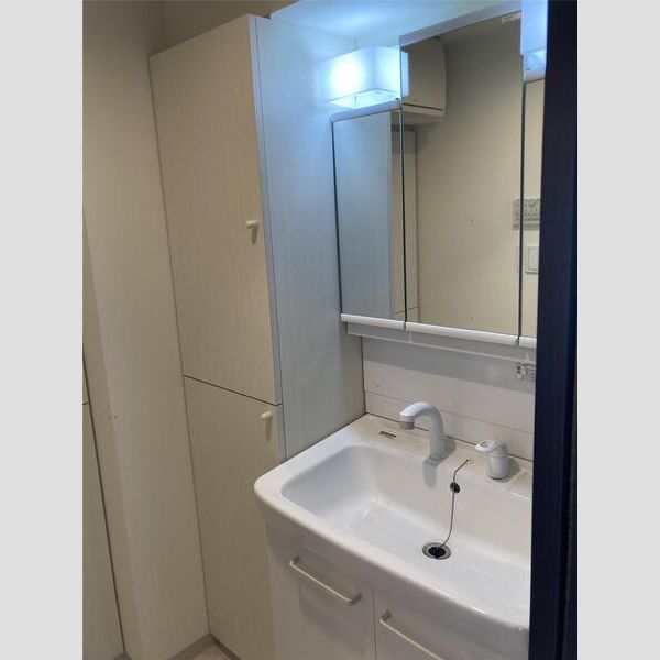 S-FORT八王子堀之内306号室 洗面