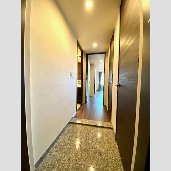 パークシティ大崎 ザ タワー(2020) 2020号室玄関