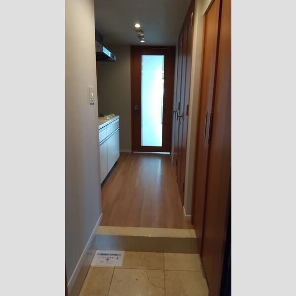 カスタリア大塚Ⅱ0501号室 玄関