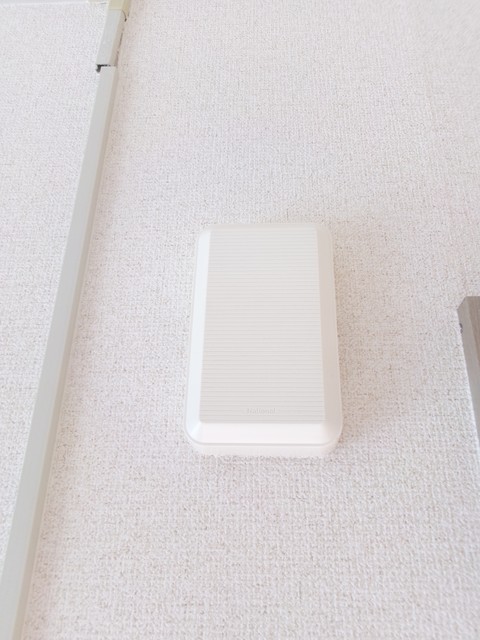 リバーサイド小林0203号室 セキュリティ