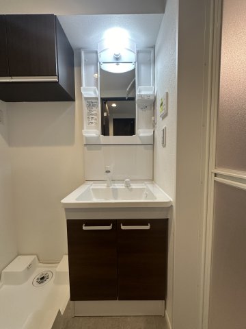 ラルジュ藤沢102号室 洗面