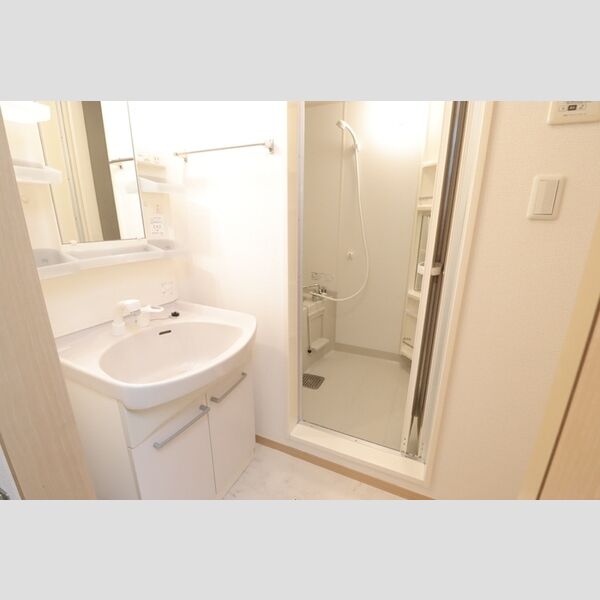 I.ヴィレッジ堀崎203号室 洗面所