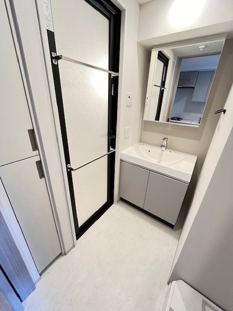 クロスレジデンス六義園5階 洗面