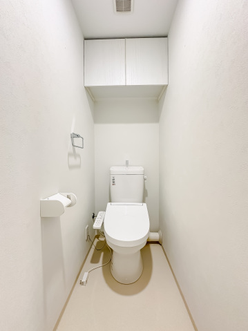 スカイコートリュクス品川大崎203号室 トイレ