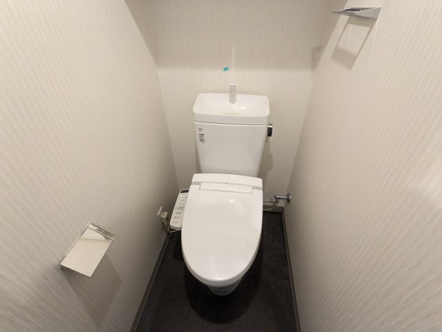 ケーディーエックスレジデンス豊洲431号室 トイレ