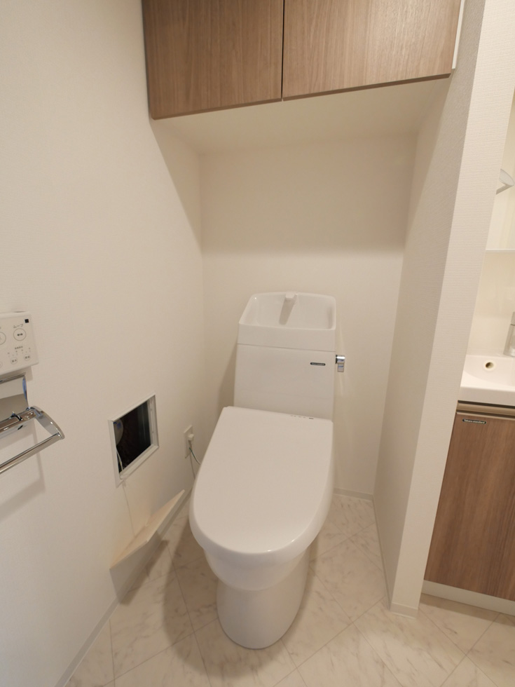 ラフィスタ高津 内観