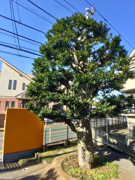 カーサグリーンプラザ1階 部屋その他