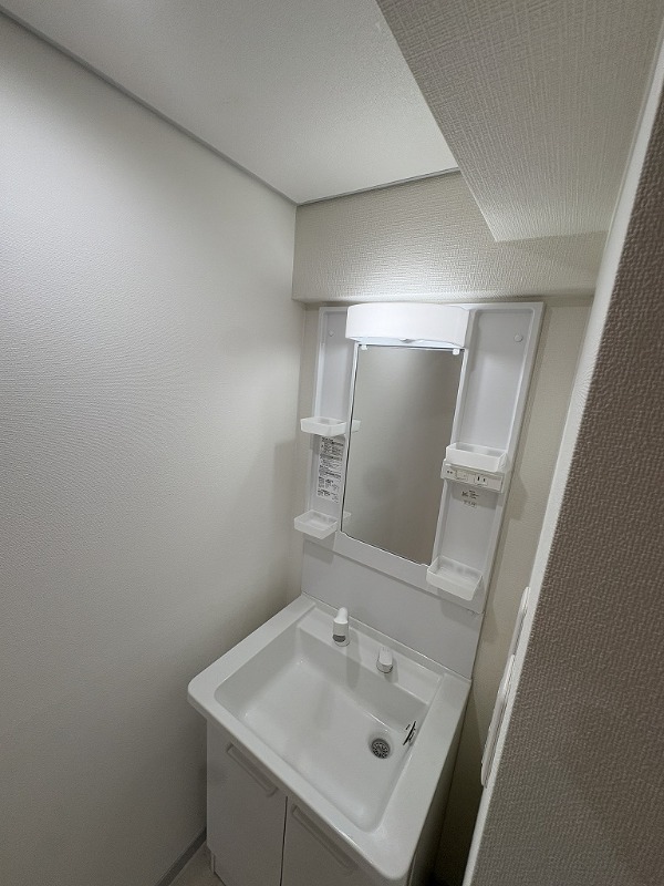 カーサケイワイNo.2 洗面